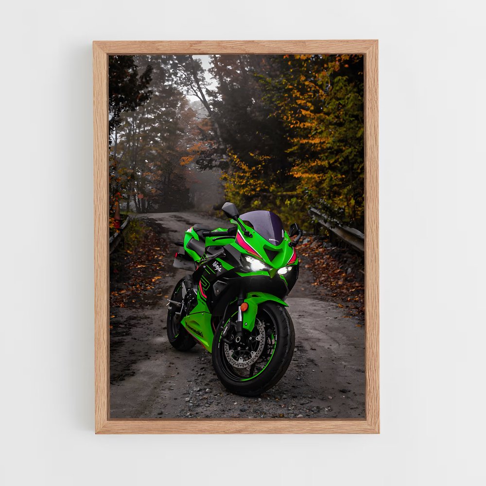 Poster Roadster Vert (vue 4)